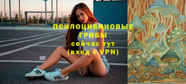 ПСИЛОЦИБИНОВЫЕ ГРИБЫ Алексеевка