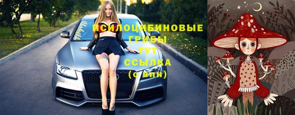 ПСИЛОЦИБИНОВЫЕ ГРИБЫ Алексеевка