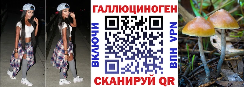 закладка  Ачхой-Мартан  Галлюциногенные грибы ЛСД 